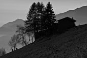01_Baite e Roncola